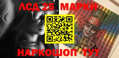 гидропоника Гатчина