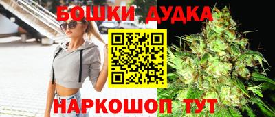 гидропоника Гатчина