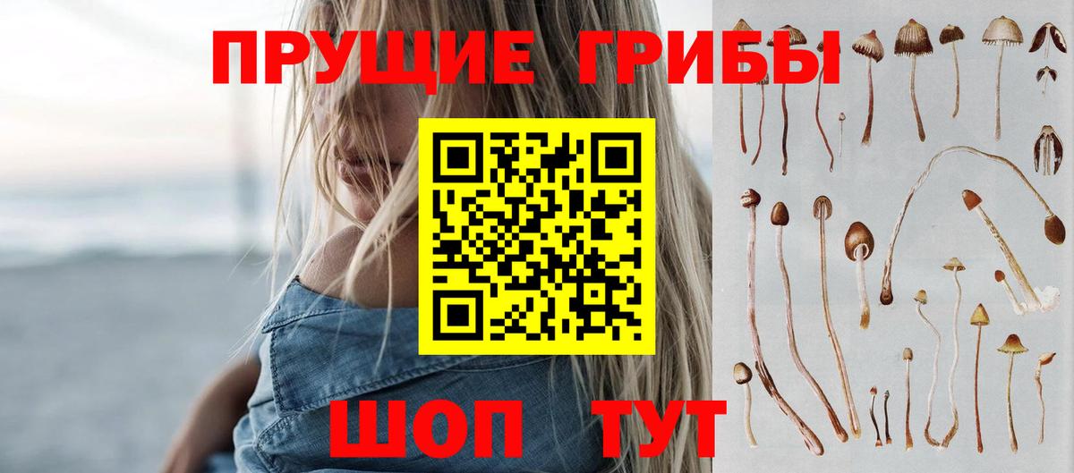 Галлюциногенные грибы Cubensis Богородицк